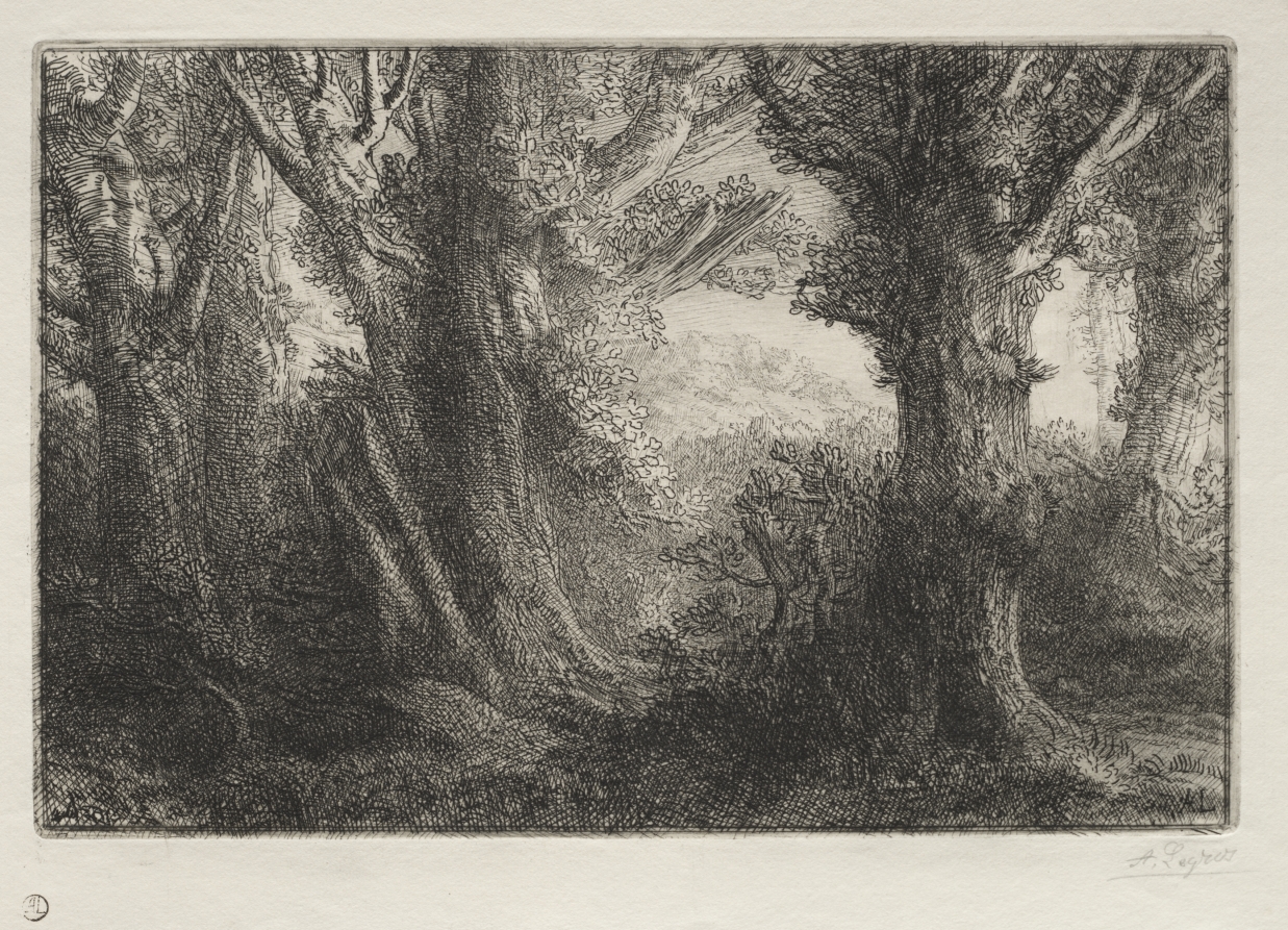 In the Forest at Conteville