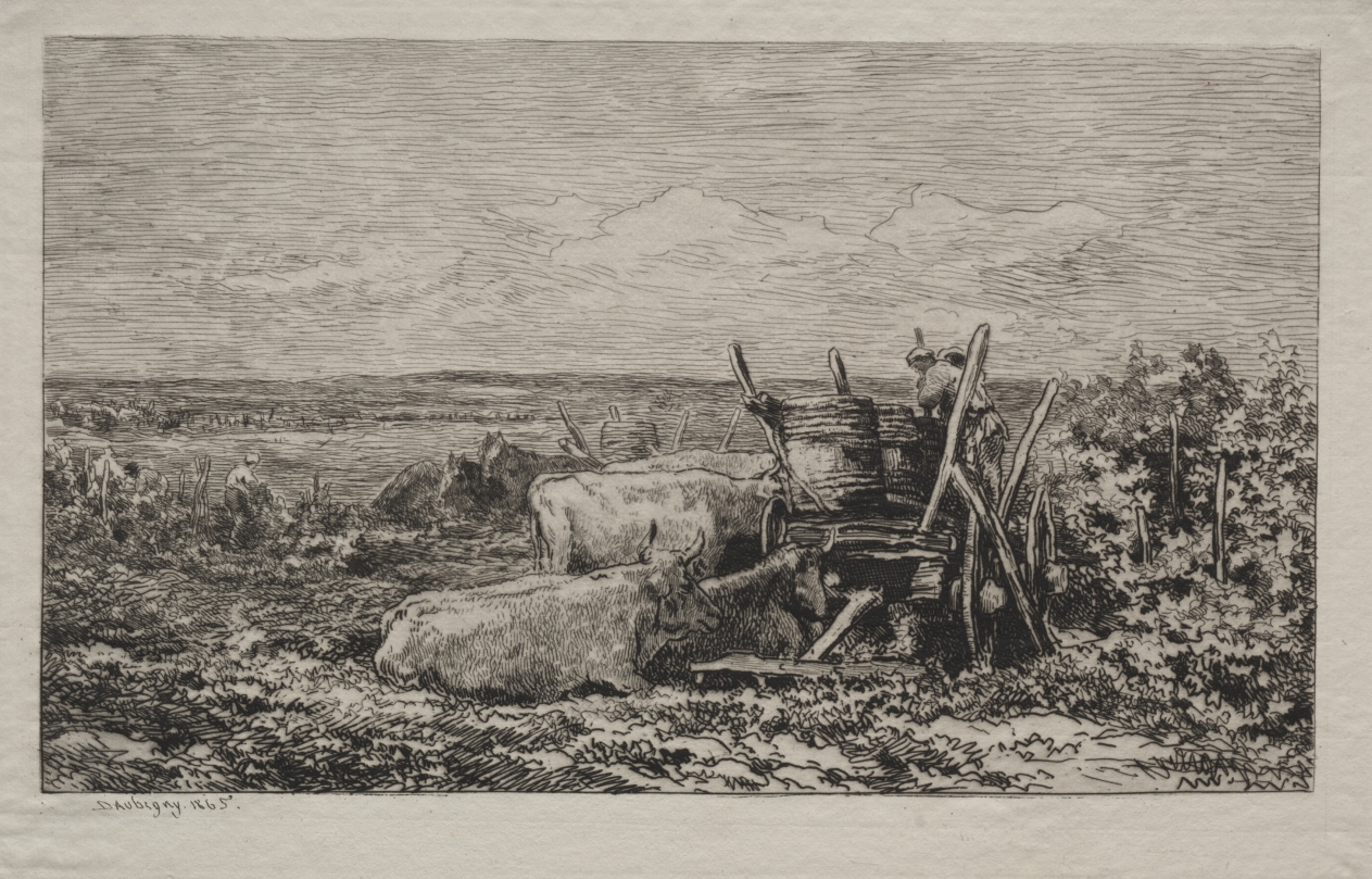 The Grape Harvest