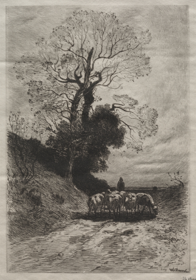 Return of the flock
