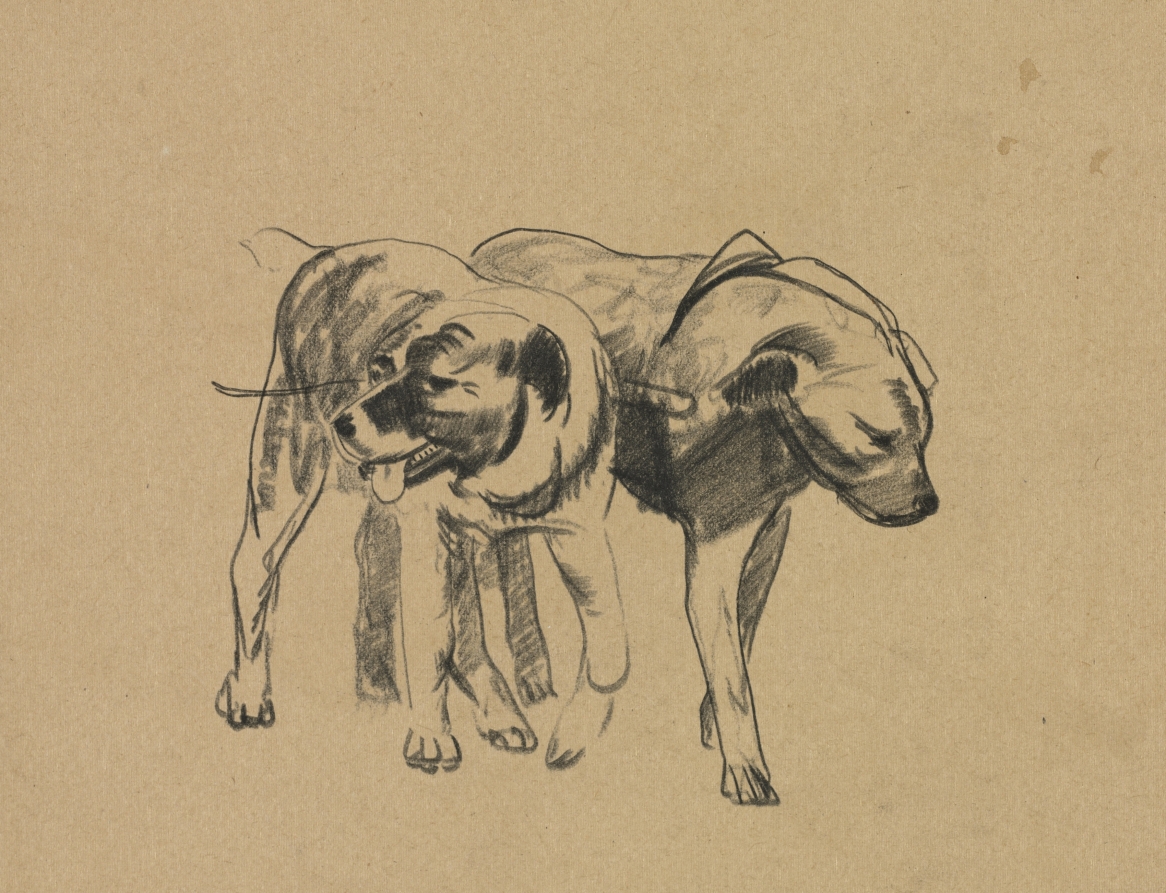 Two Dogs