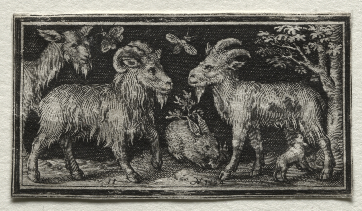 Nicolaes de Bruyn《Goats and Hare》（クリーヴランド美術館蔵）