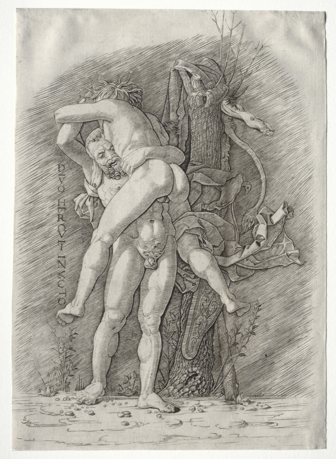 アンドレア・マンテーニャ《Hercules and Antaeus》(クリーヴランド美術館蔵)