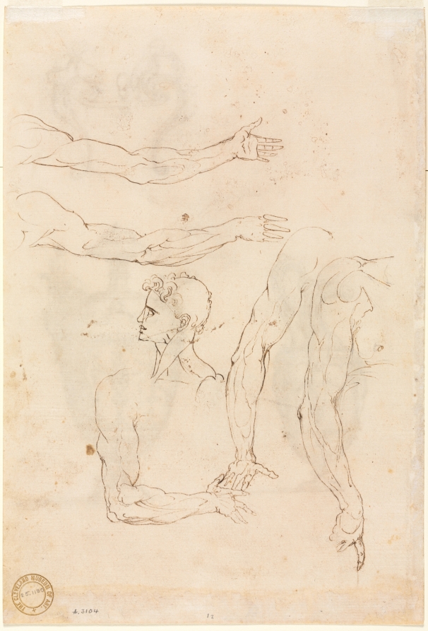 Sketches of Five Arms and a Head (verso)