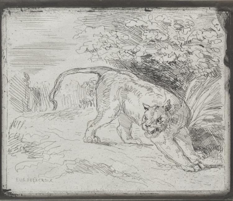 A Trapped Tiger