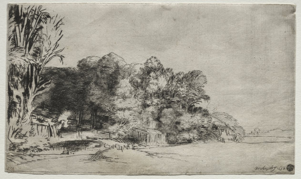 Clump of Trees with a Vista