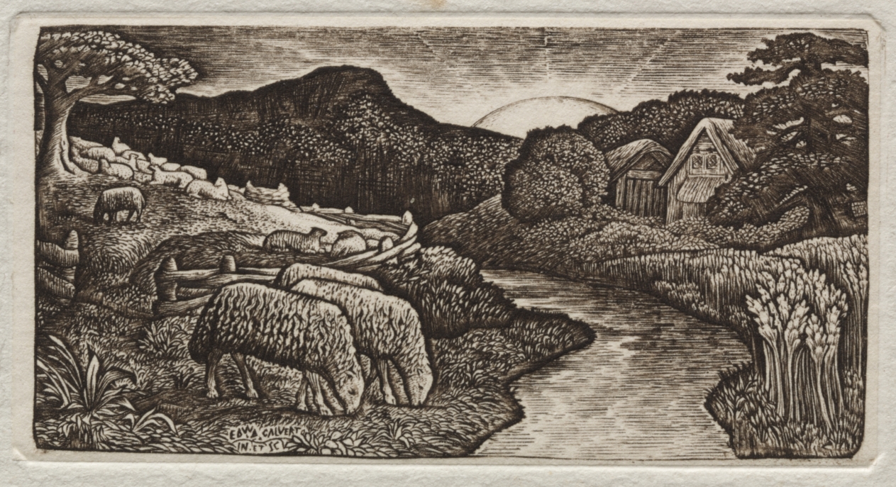 The Sheep of His Pasture