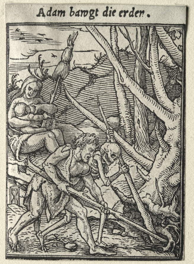 Dance of Death:  Adam Tilling the Ground