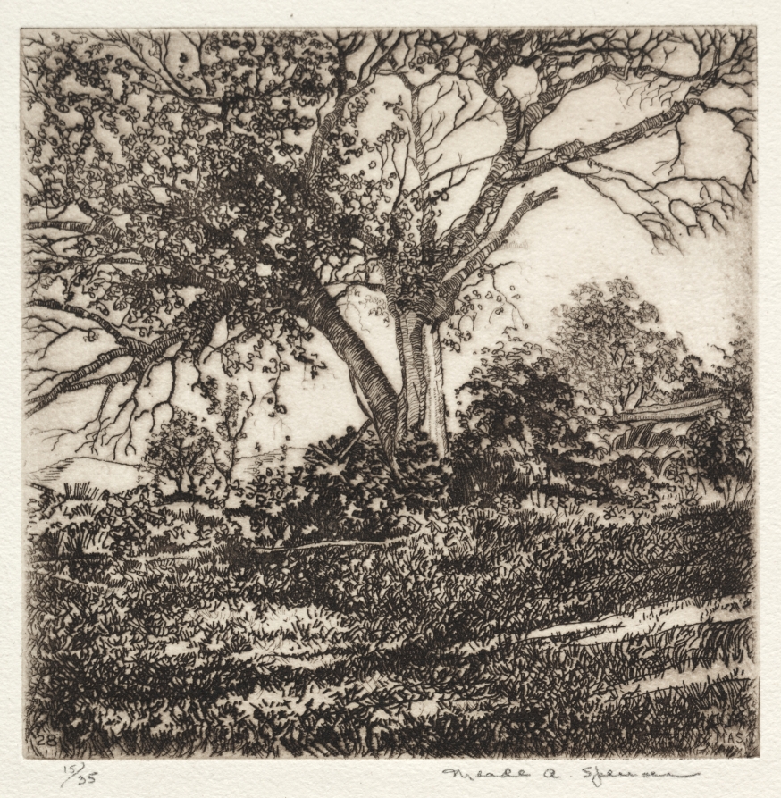 Meade Ashley Spencer《Apple Tree》（クリーヴランド美術館蔵）