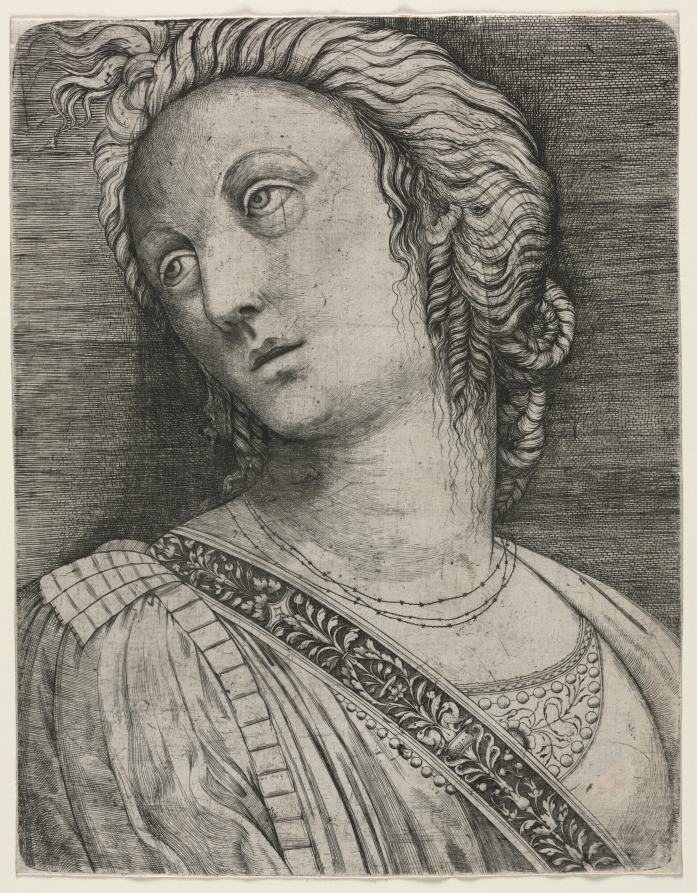 Bust of a Woman