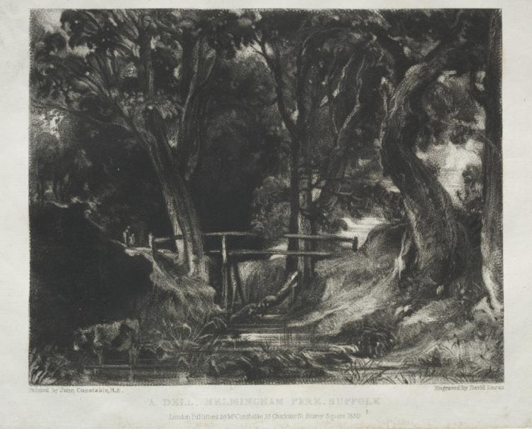 Various Subjects of Landscape, Characteristic of English Scenery from Pictures Painted by John Constable, R.A.: Dell in the Woods of Helmingham Park, Suffolk