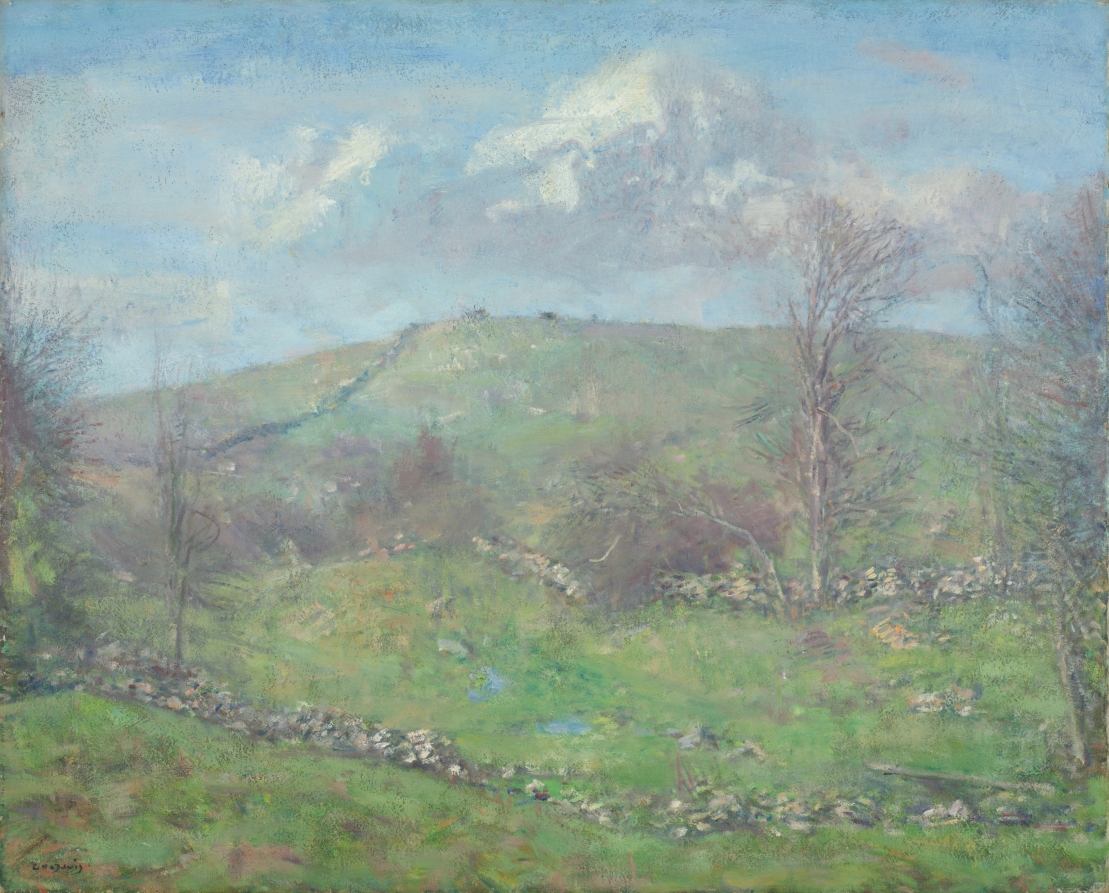 Spring on the Hillside