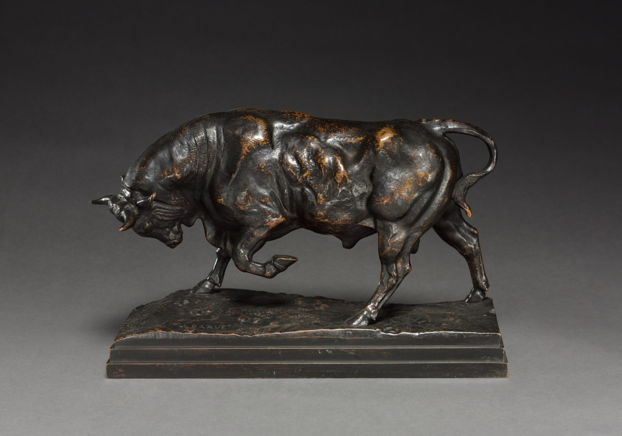 Bull
