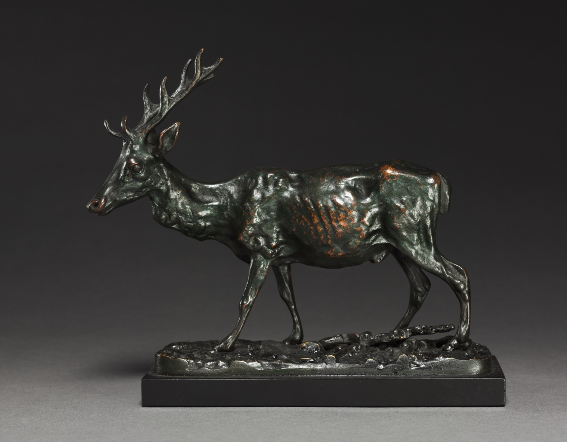Deer