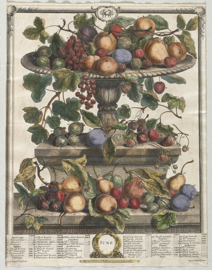 Twelve Months of Fruit:  June