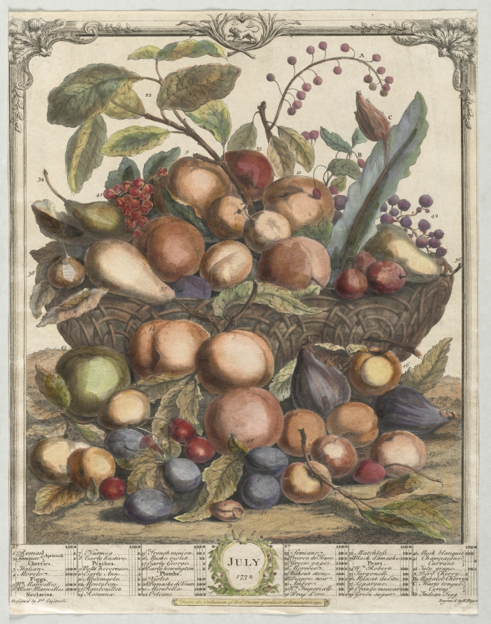 Twelve Months of Fruit:  July