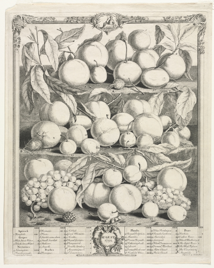 Twelve Months of Fruit: August