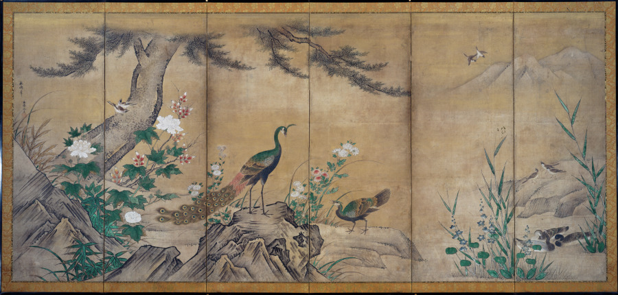 花鳥