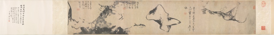 魚と岩