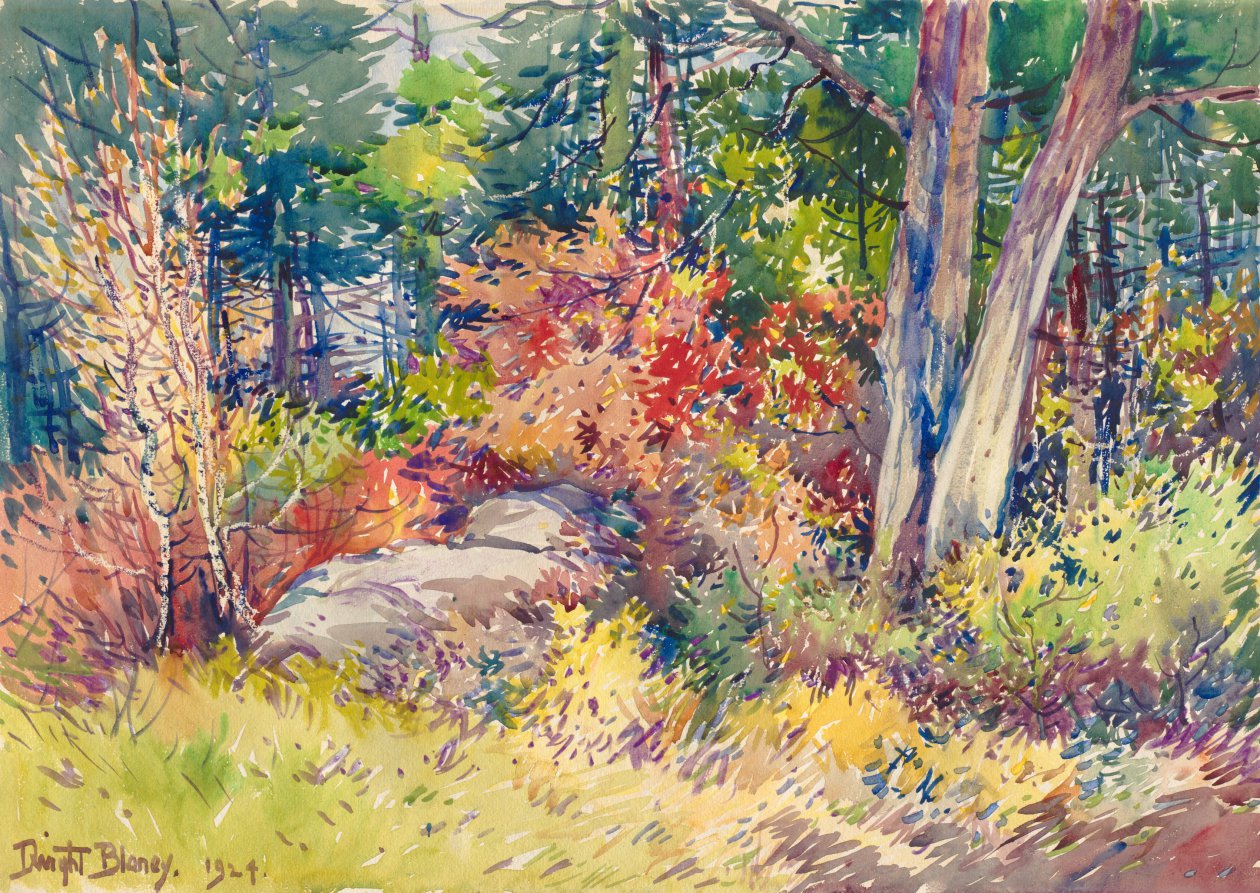 Autumn Forest