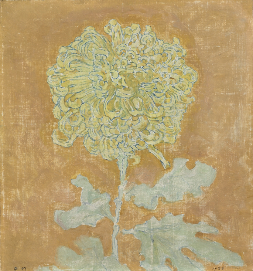 Chrysanthemum