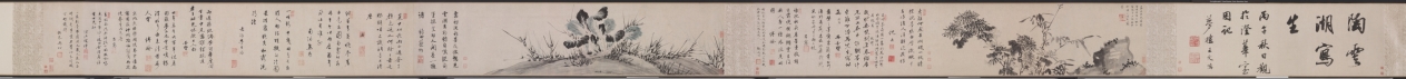 菊と白菜