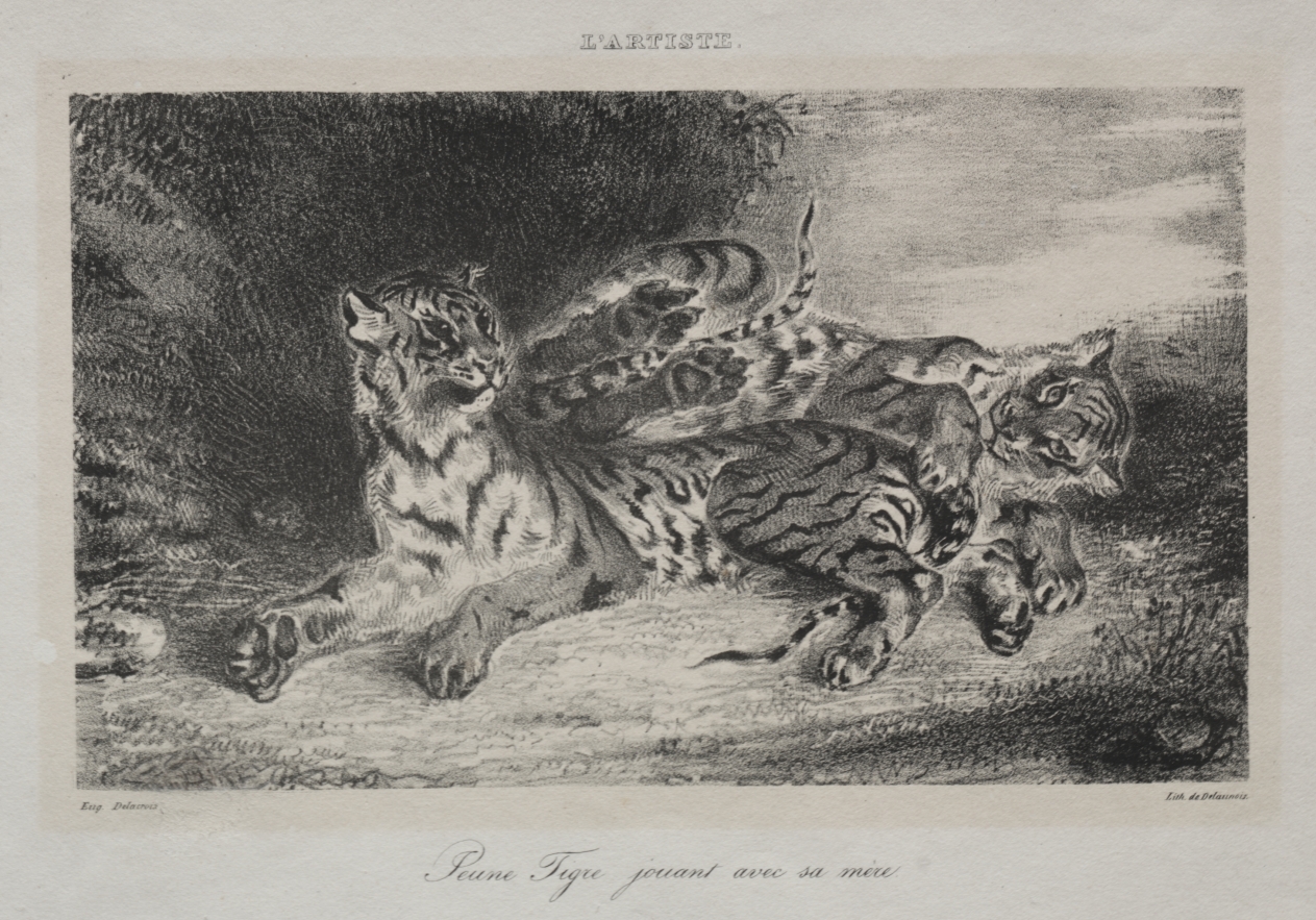ウジェーヌ・ドラクロワ《Young Tiger Playing with its Mother》(クリーヴランド美術館蔵)