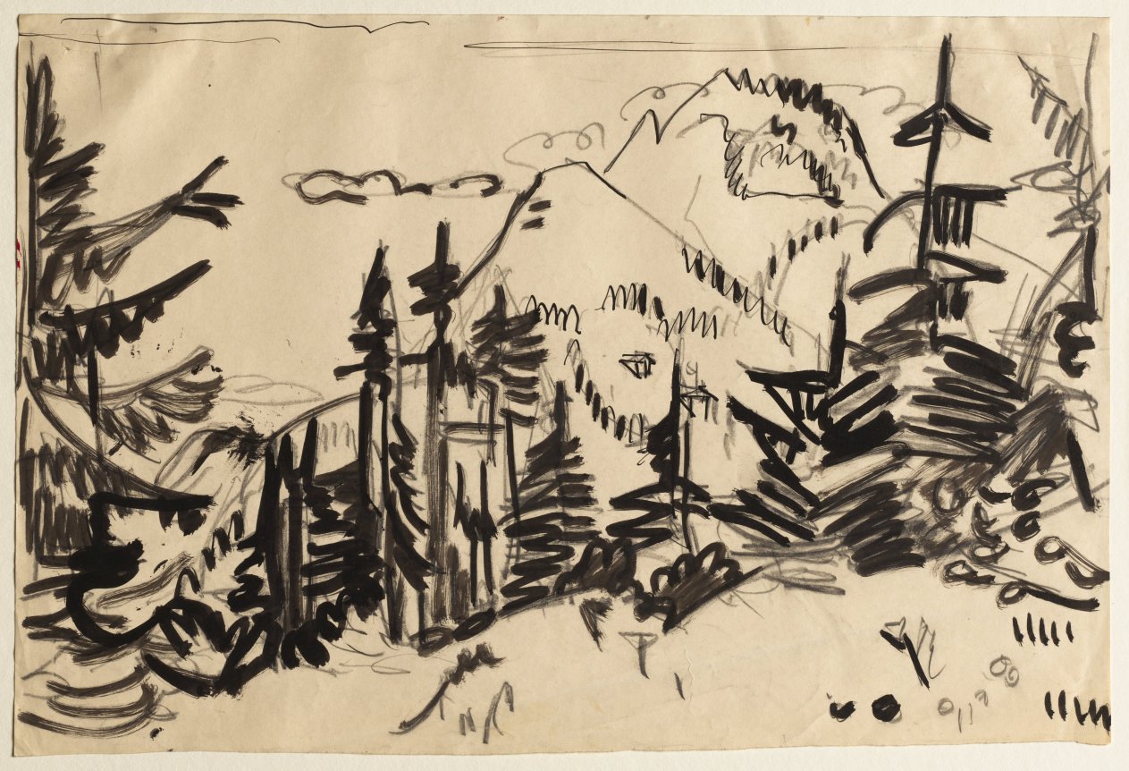 樅の木のある山の風景