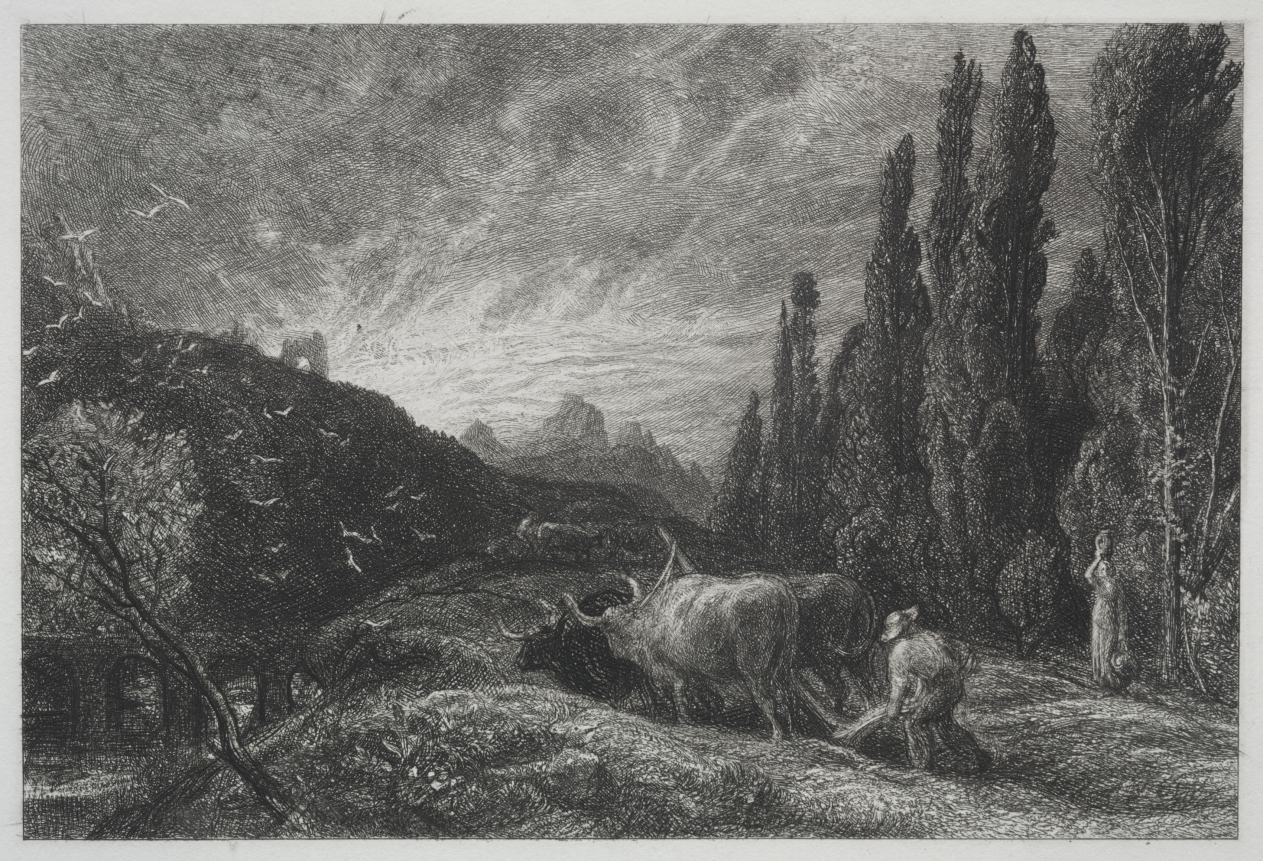 The Early Plowman