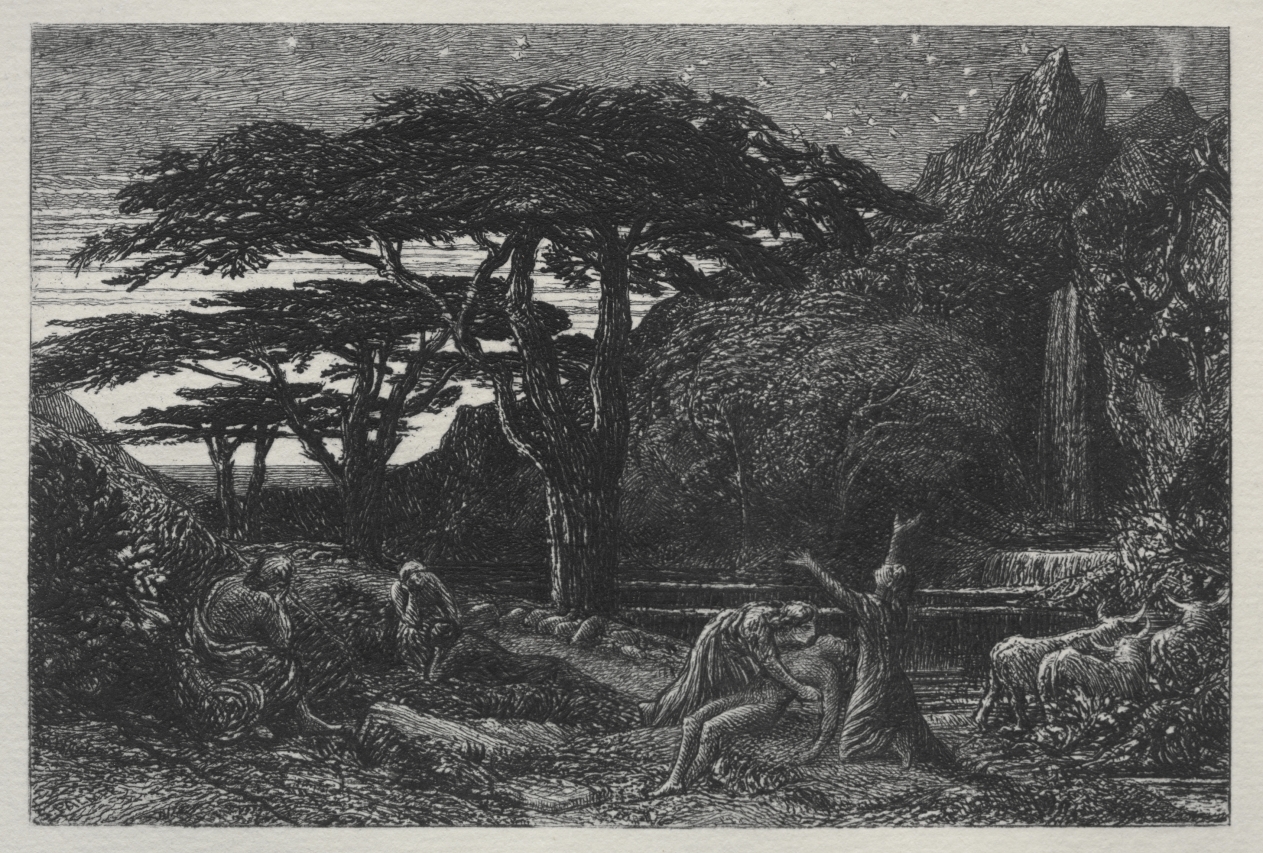 The Cypress Grove