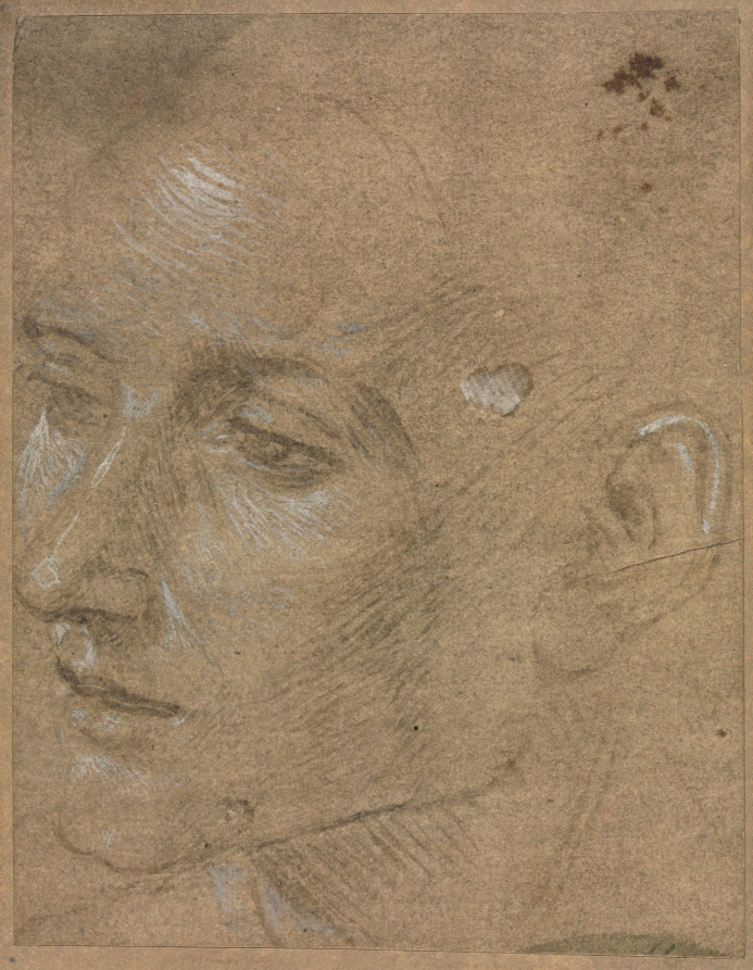 Head of a Young Man