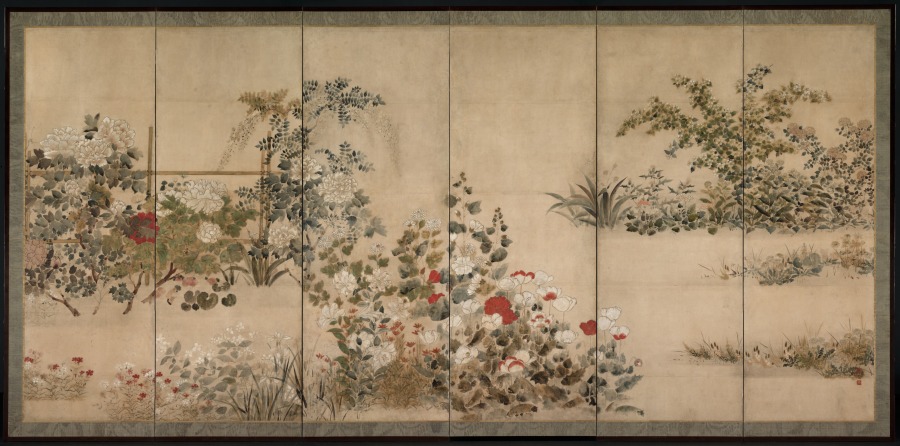 Flowers and Grasses