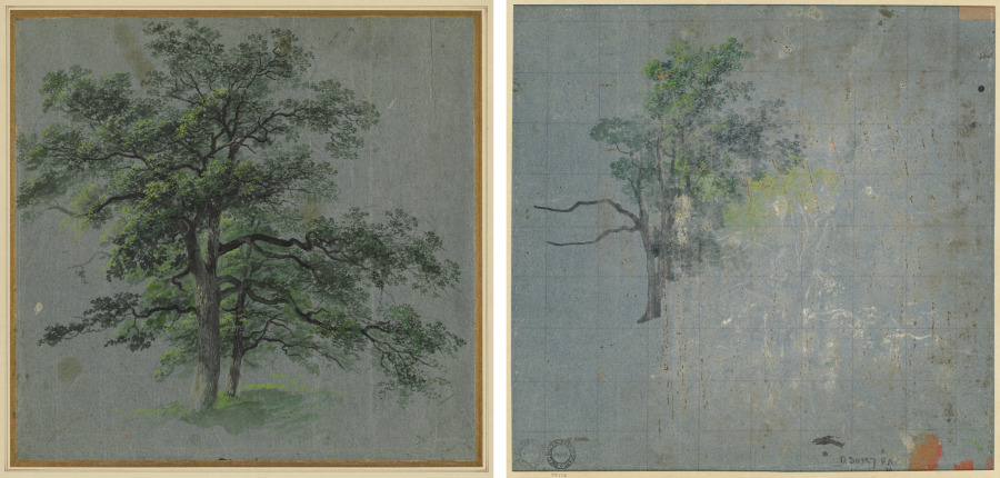 Johann Jacob Dorner《Two Trees (recto) Tree Studies (verso)》(クリーヴランド美術館蔵)