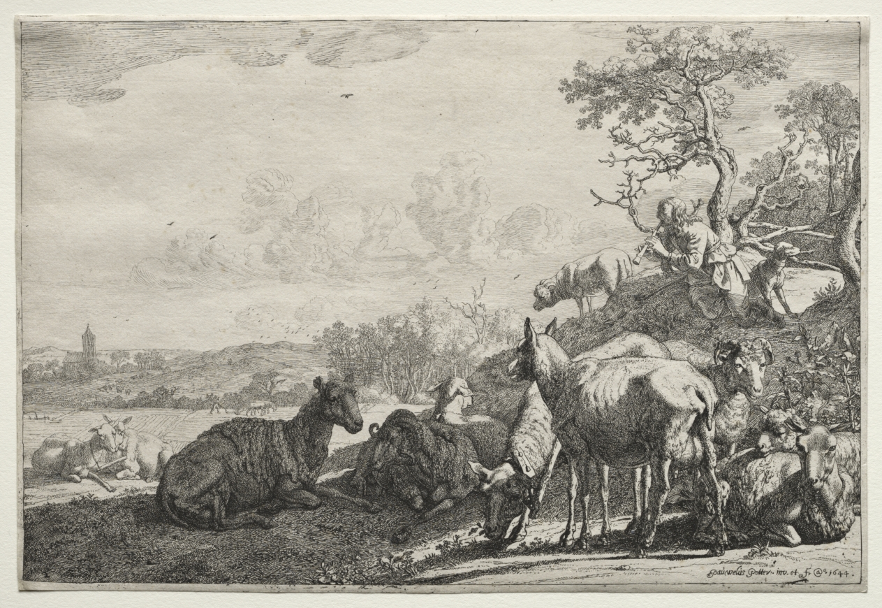 The Shepherd