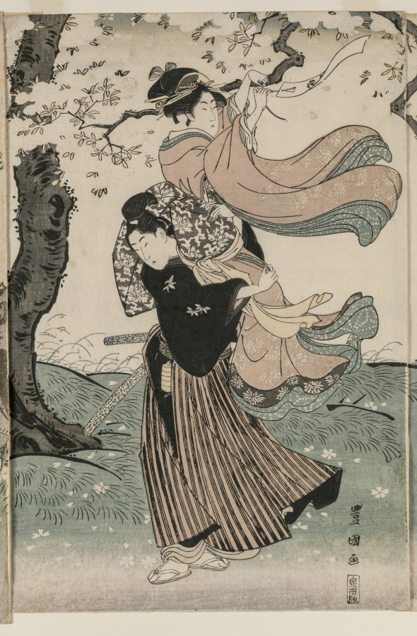 Cherry Blossoms in the Wind