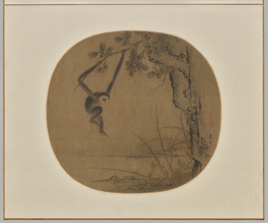 Swinging Gibbon