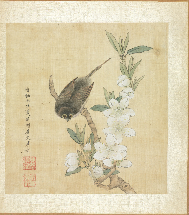 桃花の枝と鳥(古人に倣う画より)