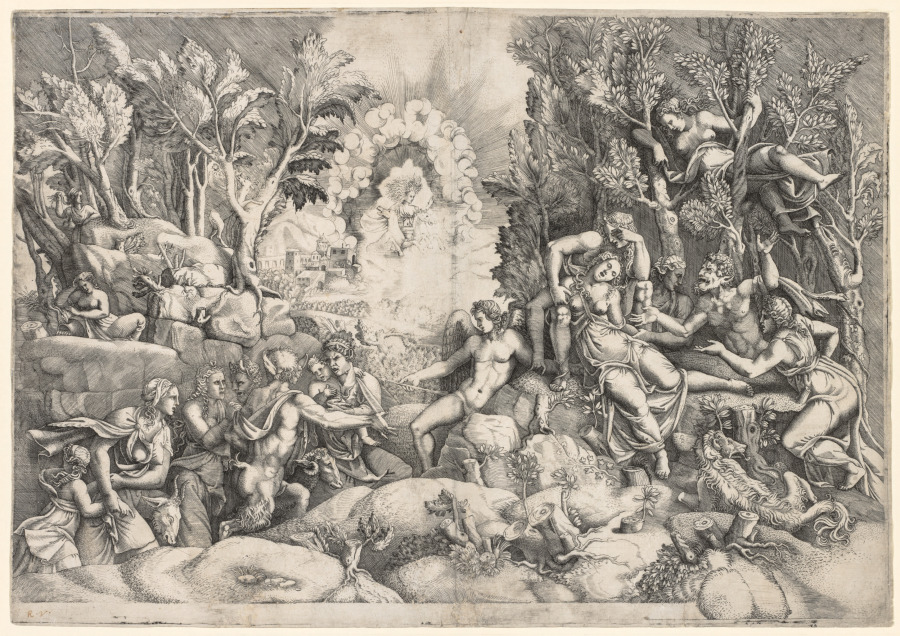 The Death of Procris