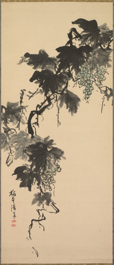 葡萄