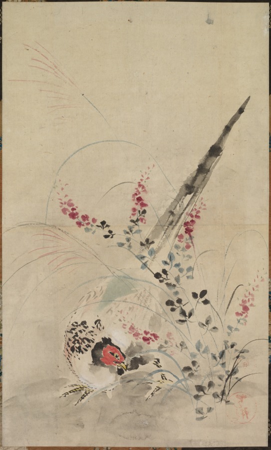 Pheasant and Grasses