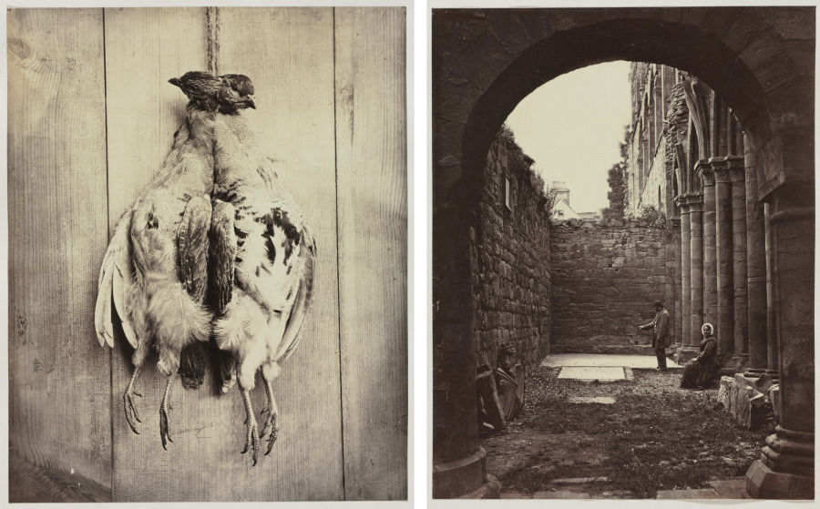 Partridges (recto); L.D. Campbell's Tomb (verso)