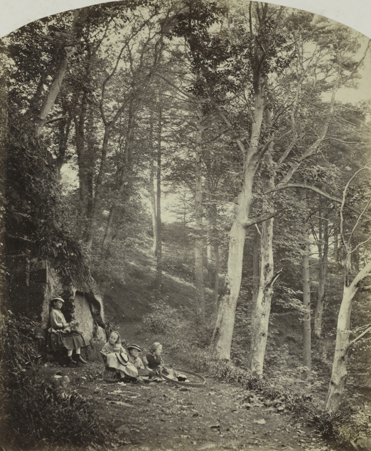 A Path Through a Wood