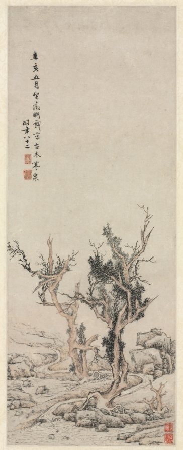 寒渓の老樹