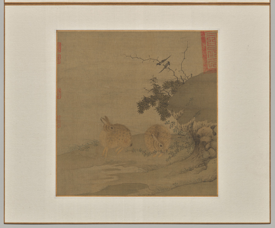 Magpies and Wild Rabbits