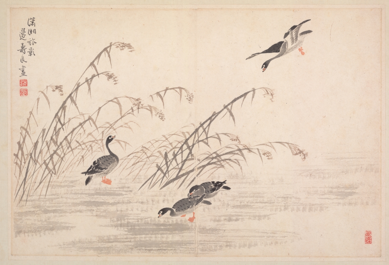 Album of Calligraphy and Paintings