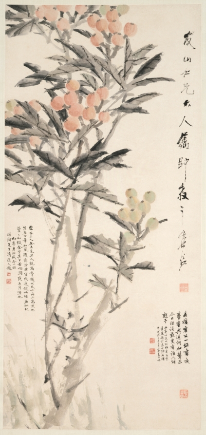 枇杷