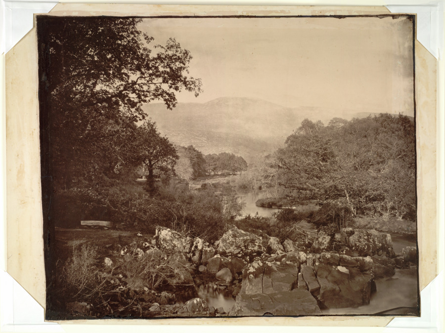 View from the Lawn, Dennicanniby