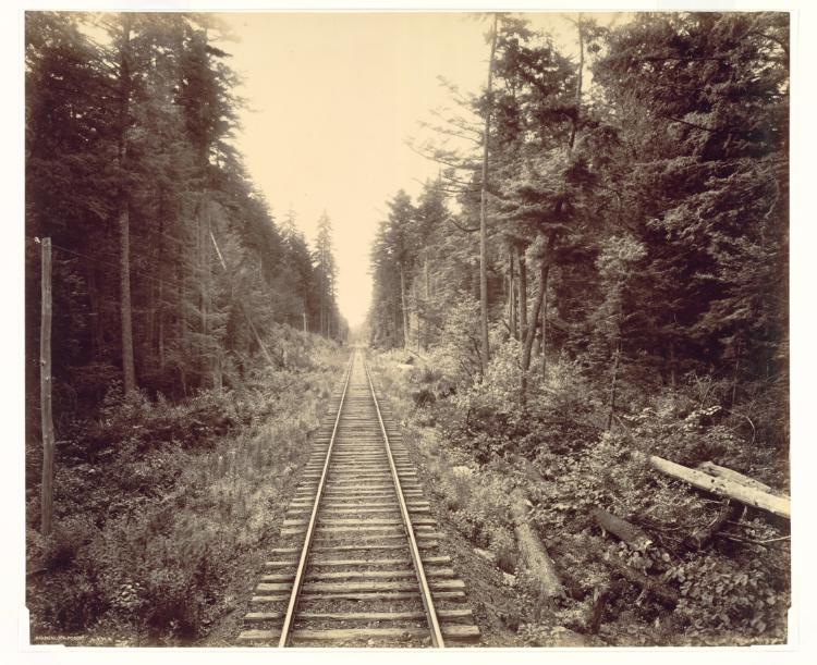 William H. Rau《Hemlock Forest, Lehigh Valley Railroad》（クリーヴランド美術館蔵）