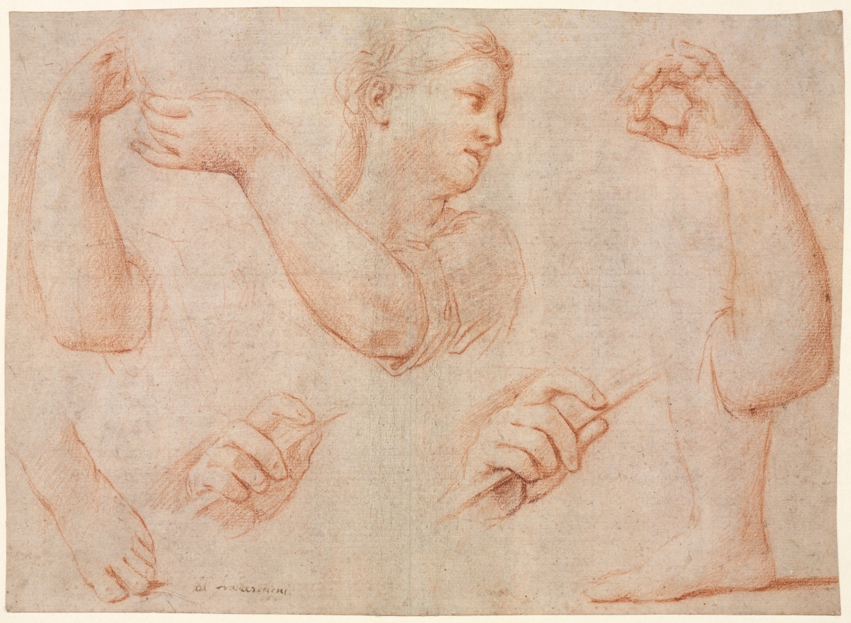 Marcantonio Franceschini《Study of a Young Woman Playing a Tambourine, and Studies of an Arm, Hands, and Feet (Studies for "Miriam Leading the Chorus of Women Who Give Thanks for the Routing of Pharoah"》(クリーヴランド美術館蔵)