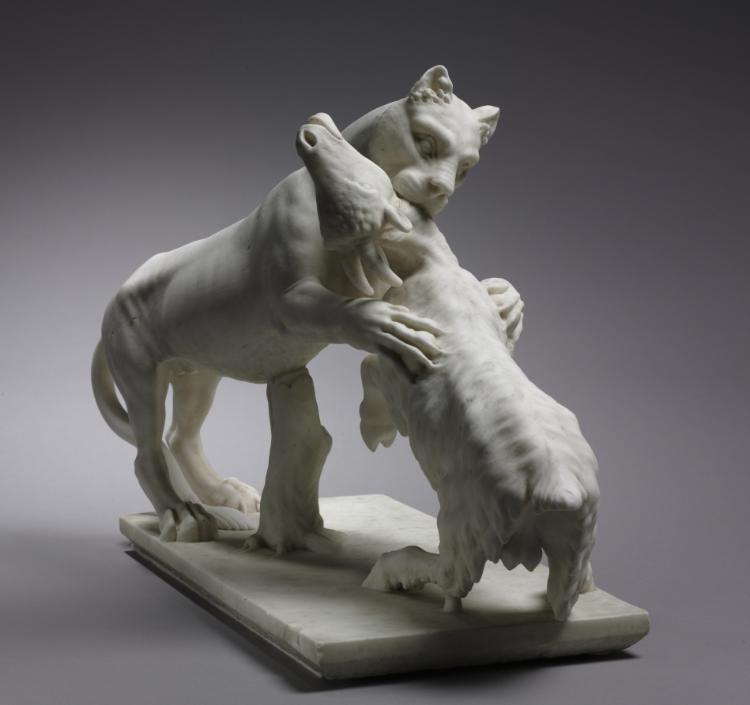Panther Attacking a Goat 