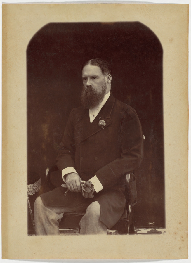 Portrait of a Gentleman